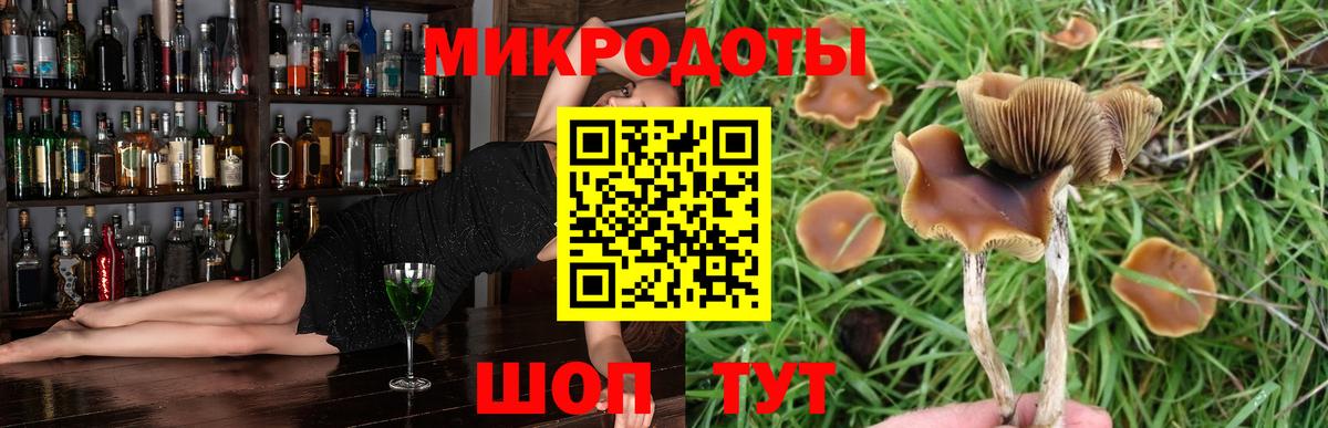 Галлюциногенные грибы Magic Shrooms Арсеньев