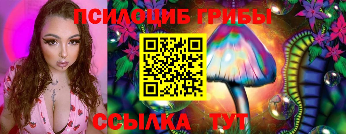 Арсеньев  Псилоцибиновые грибы Magic Shrooms  купить  сайты  Вход с VPN 